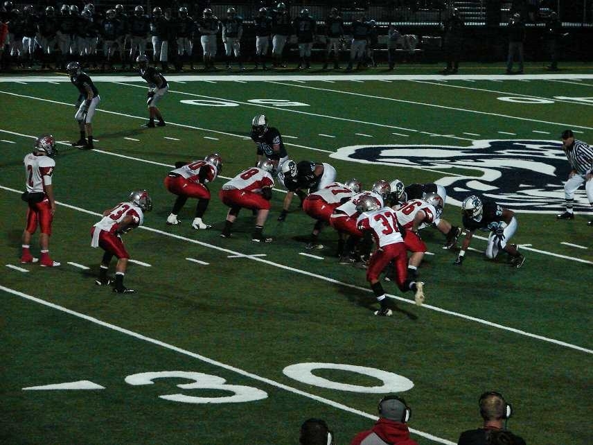 minerva-in-motion minerva-in-motion