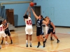 alliance-vs-louisville-varsity-girls-basketball-2-2-2013-023