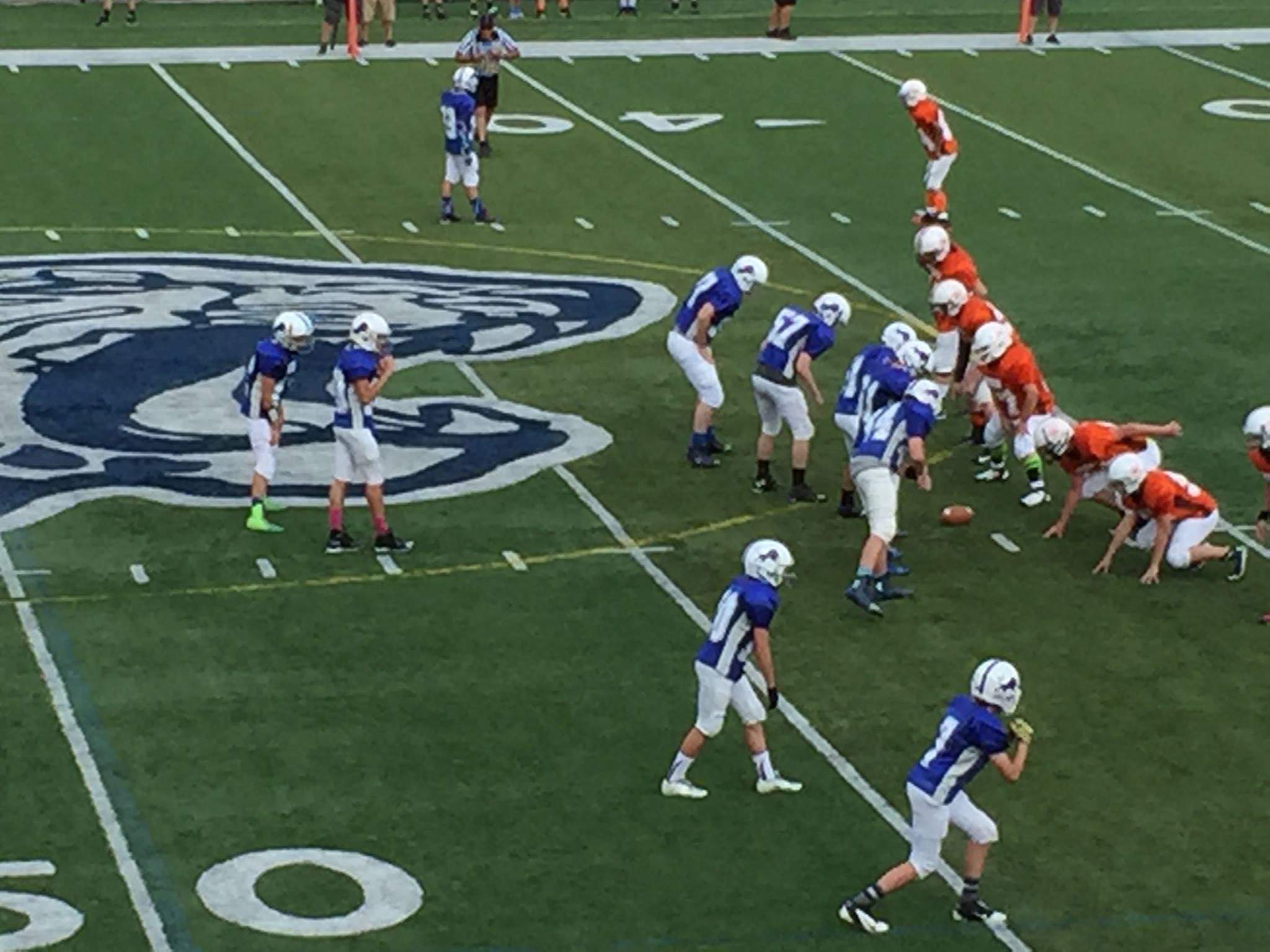 Lions2