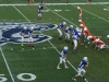 Lions2