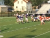 Lions3