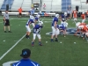 Lions4