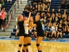 Volleyball For the Cure 2014 19