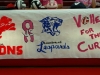 Volley for the Cure Banner