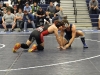 minerva-lions-at-louisville-leopards-wrestling-1-19-2012-052
