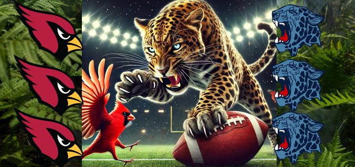 Louisville Leopards at Canfield Cardinals football live video stream 2024