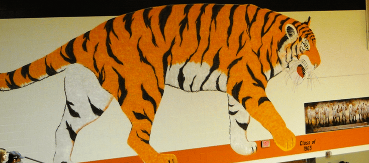 Massillon Tigers Gym Gymnasium Wall Painting