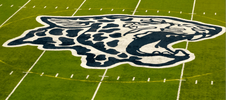 Louisville Leopards Stadium Midfield Leopard Head