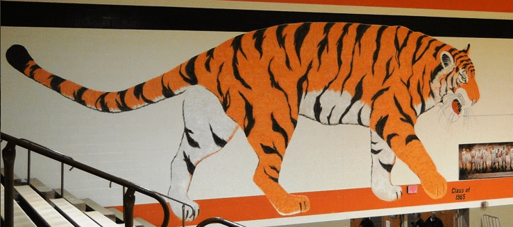 Massillon Tigers Gym Painting Old Tiger Class of 1965
