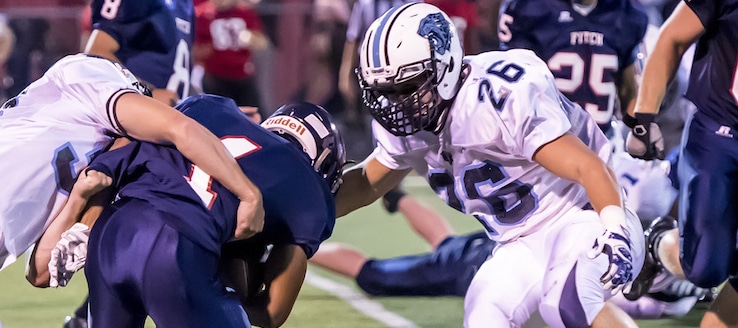 Frankie Falcone 2015 Football Highlights Louisville Leopards