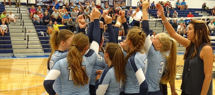 Louisville Leopards Volleyball 2017 Fists Held High
