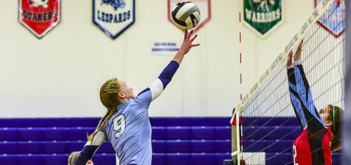 Erin Hahn Louisville Leopards Vs. Alliance Aviators Volleyball 2017