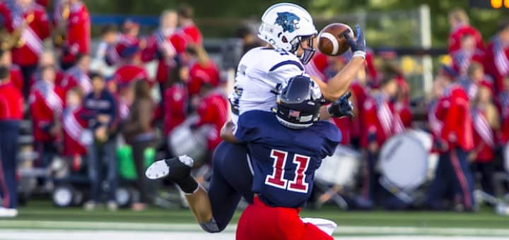 Max Hartline Louisville Leopards Vs. Austintown Fitch Falcons Football 2017