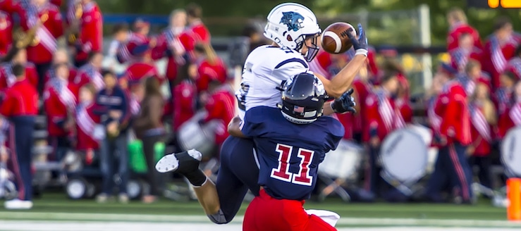 Max Hartline Louisville Leopards Vs. Austintown Fitch Falcons Football 2017