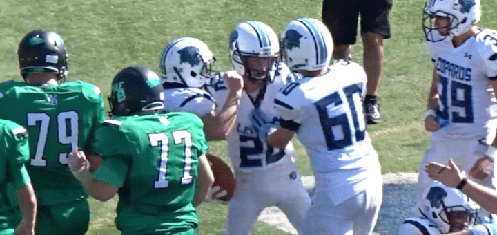 Blake Davis 2017 Football Highlights