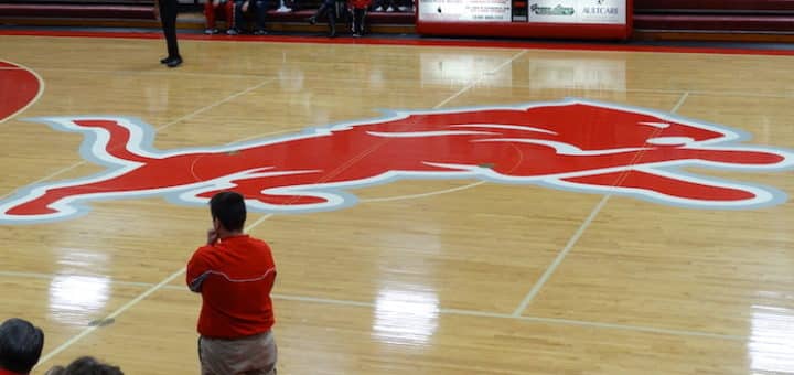 Minerva Lions Gym Center Court Logo