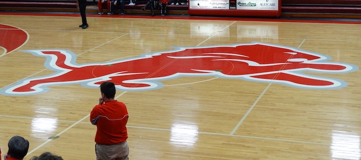 Minerva Lions Gym Center Court Logo