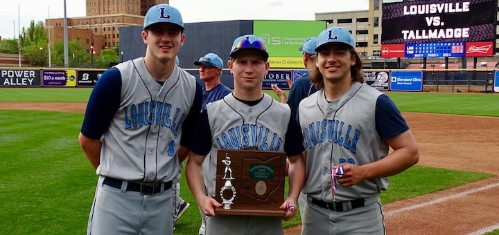 Louisville Leopards Baseball 2018 DII Akron District Runner-Up