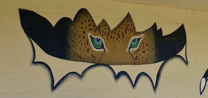 Louisville Leopards Softball Leopard Eyes and Claws Visitors Dugout