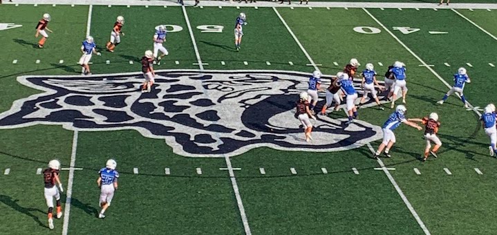 Browns Colts Little Leopards Football 2020