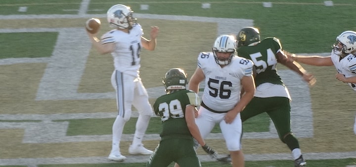 Tyler Jackson Touchdown Pass Louisville Leopards Vs. GlenOak Golden Eagles Football 2020
