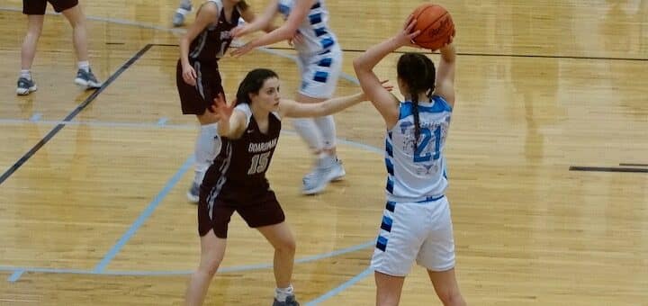 Paige Cole Louisville Leopards Vs. Boardman Spartans Girls Basketball Tournament 2021