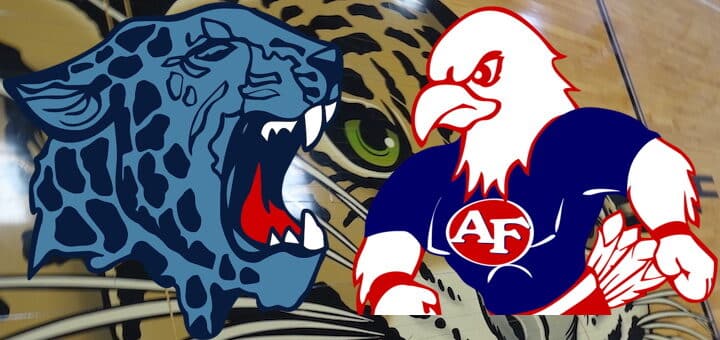 Austintown Fitch Falcons at Louisville Leopards Live Video Stream