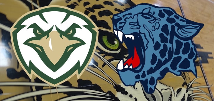 Louisville Leopards Vs. GlenOak Golden Eagles Live Video Stream