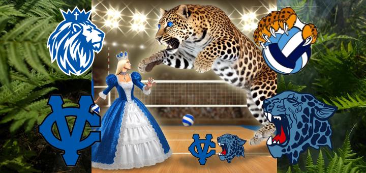 CVCA Royals Vs. Louisville Leopards Volleyball Live Video Stream