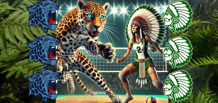 Louisville Leopards Vs. West Branch Warriors Volleyball Live Video Stream
