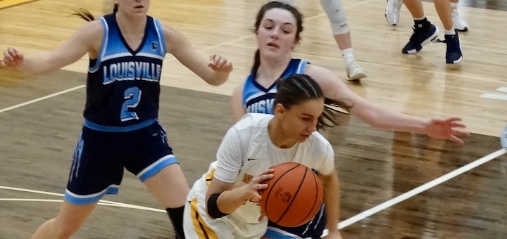 Maggie Baker Louisville Leopards Vs. Waynedale Golden Bears Girls Basketball 2025