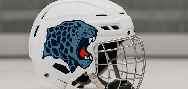 Louisville Leopards Hockey Helmet