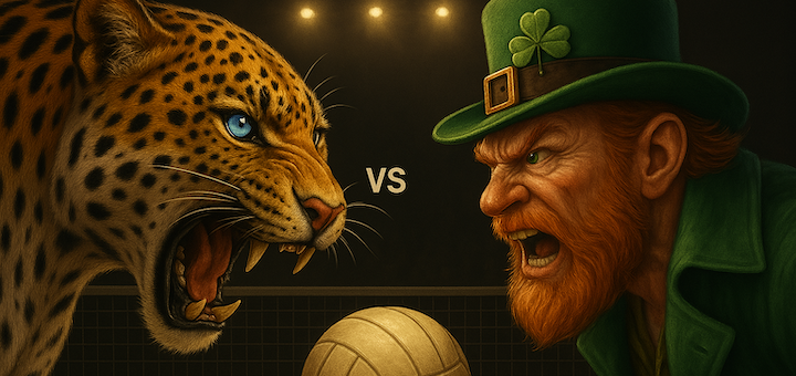 Louisville Leopards Vs. St. Vincent-St. Mary Fighting Irish Boys Volleyball Live Video Stream