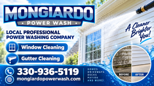 Mongiardo Power Wash Ad